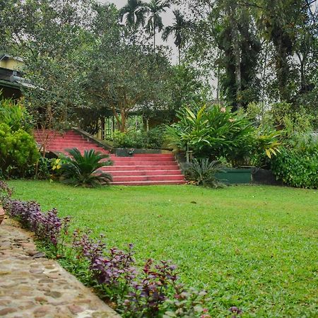 Blue Magpie Lodge Sinharaja Kudawe Luaran gambar