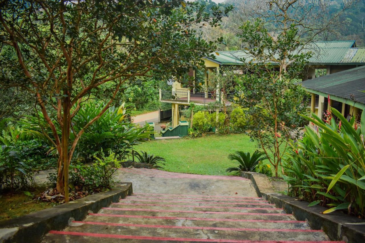 Blue Magpie Lodge Sinharaja Kudawe Luaran gambar