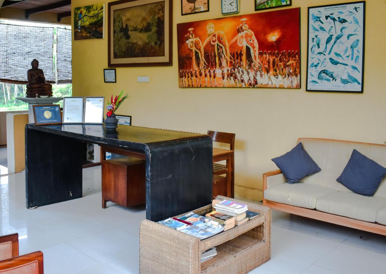 Blue Magpie Lodge Sinharaja Kudawe Luaran gambar