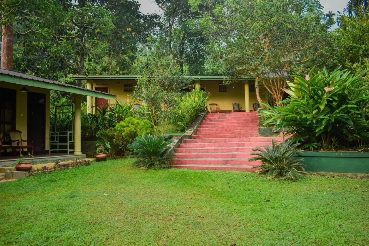 Blue Magpie Lodge Sinharaja Kudawe Luaran gambar