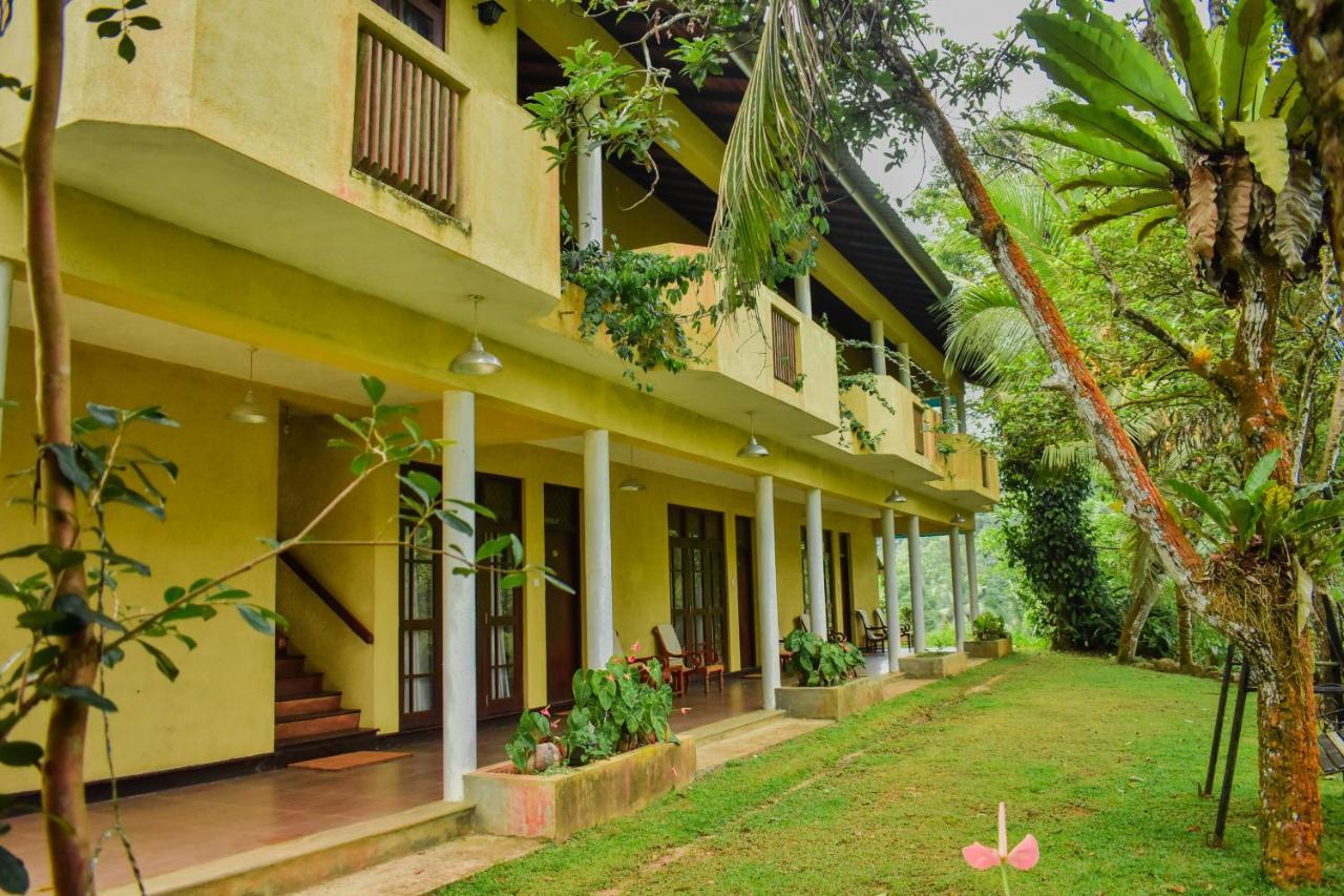 Blue Magpie Lodge Sinharaja Kudawe Luaran gambar