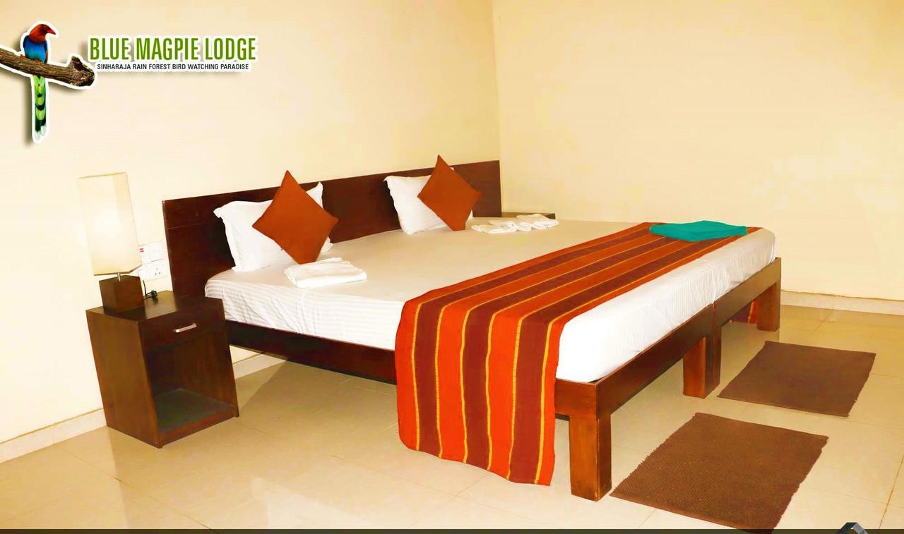 Blue Magpie Lodge Sinharaja Kudawe Luaran gambar